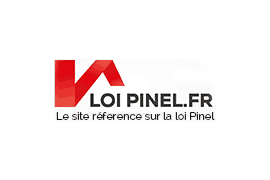 loi pinel et conseil constitutionnel